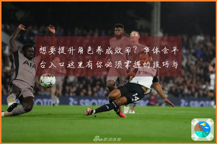 想要提升角色养成效率?华体会平台入口这里有你必须掌握的技巧与经验!