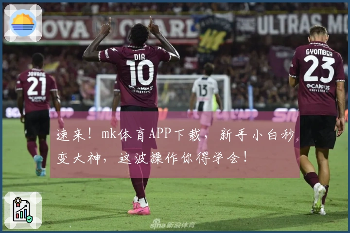 速来!mk体育APP下载,新手小白秒变大神,这波操作你得学会!