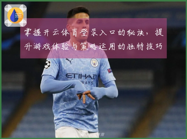 掌握开云体育登录入口的秘诀，提升游戏体验与策略运用的独特技巧